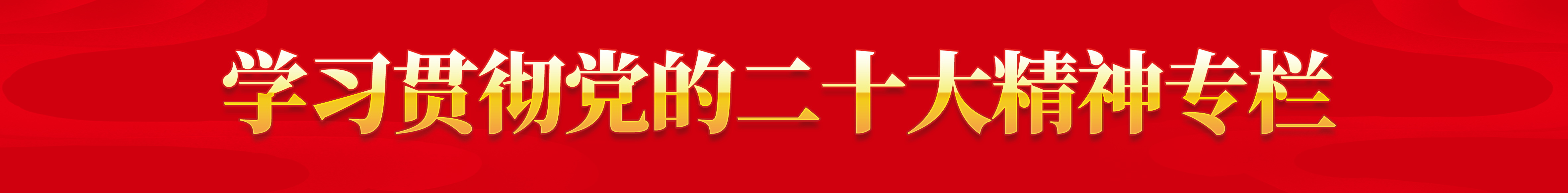 二十大专栏